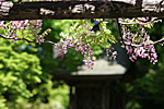 04